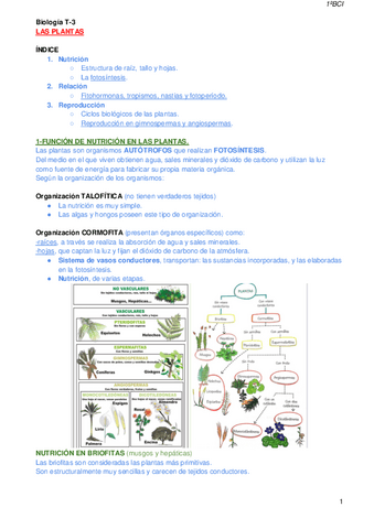 Biologia-T-3-Las-Plantas.pdf