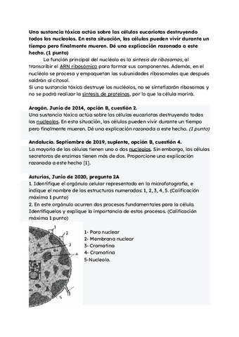 Ejercicios-examenes-selectividad.pdf