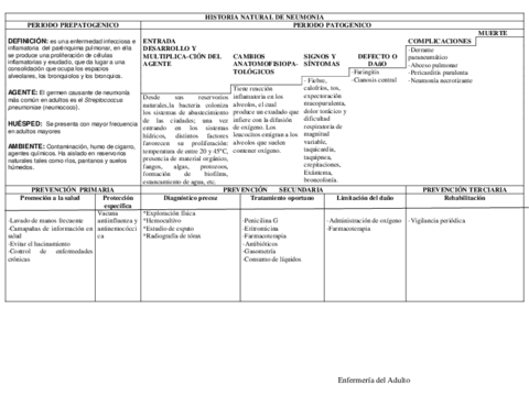 HISTORIA-NATURAL-de-Neumonia-Esquema.pdf