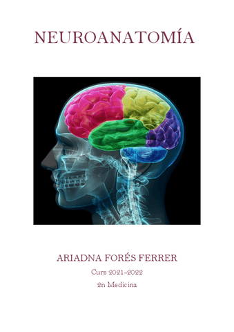 Apunts-neuroanatomia-Ari.pdf
