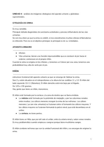 Tema-4-citologia-general.pdf