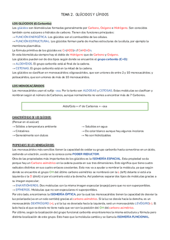 GLUCIDOS-Y-LIPIDOS-2.pdf