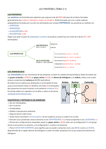 LAS-PROTEINAS-3.pdf