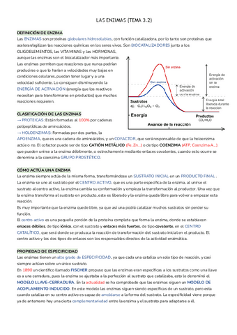 LAS-ENZIMAS-4.pdf