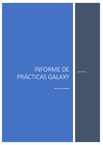 Informegalaxypracticas.pdf