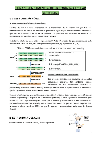 tema-1-bmm.docx.pdf