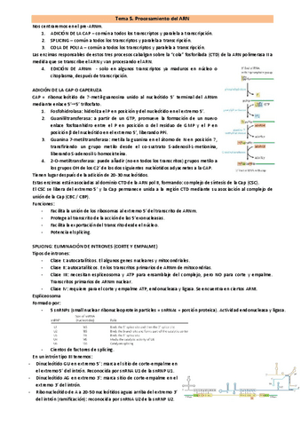 Resumen-tema-5.-Procesamiento-ARN.pdf