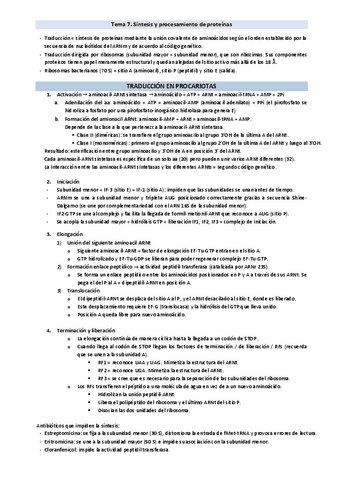 Resumen-tema-7.-Traduccion.pdf