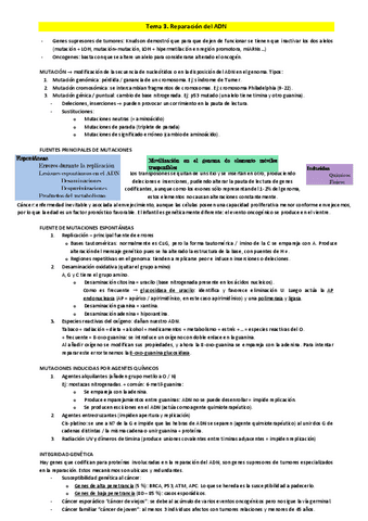 Resumen-tema-3.-Reparacion-del-ADN.pdf