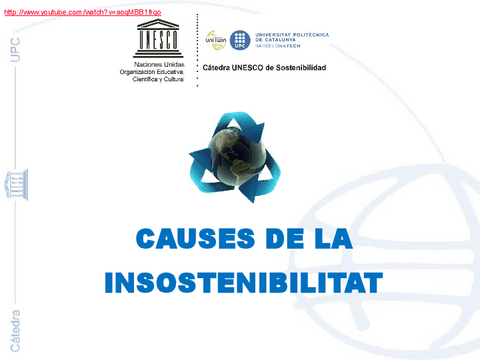 TEMA-2.-Causes-de-insostenibilitat-2122.pdf