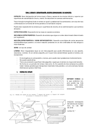 ESTRATO-Y-ESTRATIFICACION.pdf