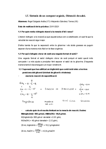 L7.-Quimica.pdf