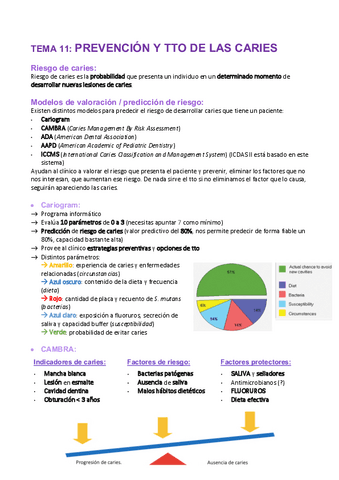 Tema-11-Prevencion-y-tto-caries.pdf