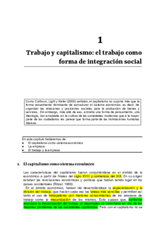 Todos los temas de Sociología del trabajo y de la empresa.doc.pdf