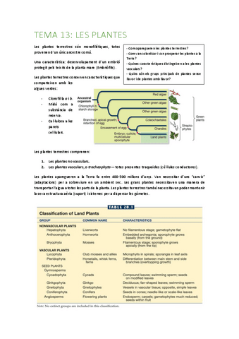Tema-13-plantes.pdf