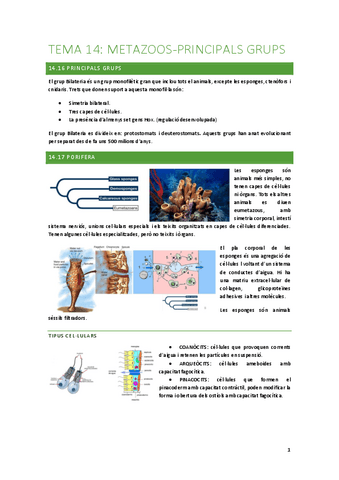 2.-principals-grups.pdf