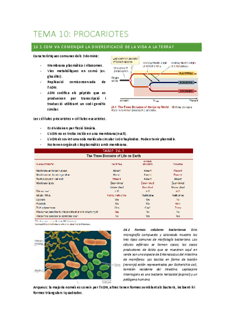 Tema-10-proariotas.pdf