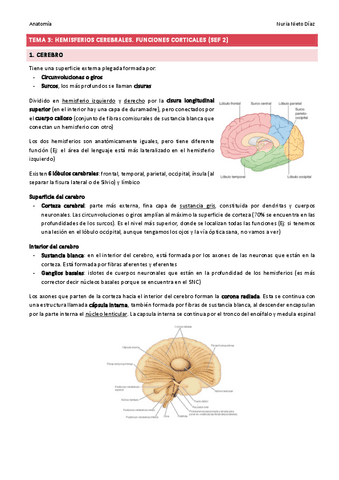 TEMA 3 - Hemisferios cerebrales y funciones corticales (SEF 2).pdf