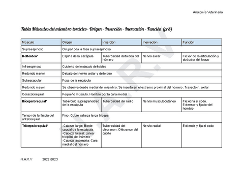 COMPLETO-Anatomia-I-practicas-pt2.pdf