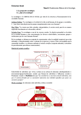 t0-apuntes-estructura-social.pdf