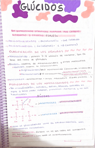Glucidos.pdf