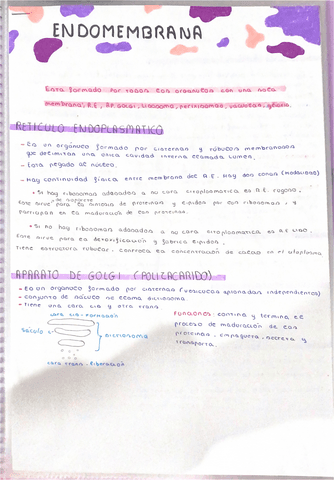 Endomembrana.pdf