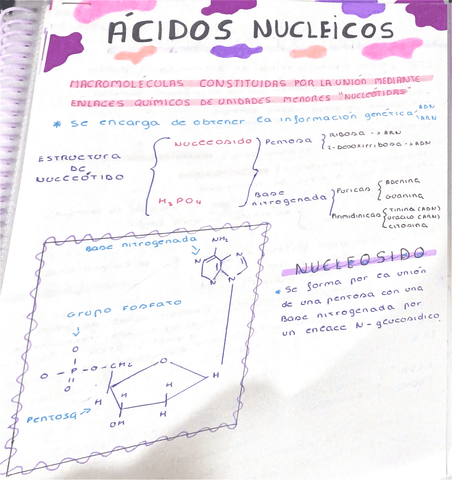 Acidos-nucleicos.pdf