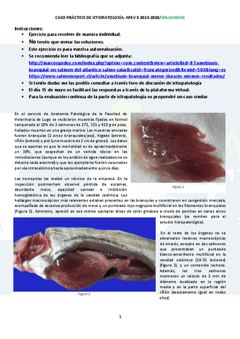 SOLUCIONES-caso-prActico-ictiopatoogAa-para-autoevaluaciAn-2019-2020.pdf