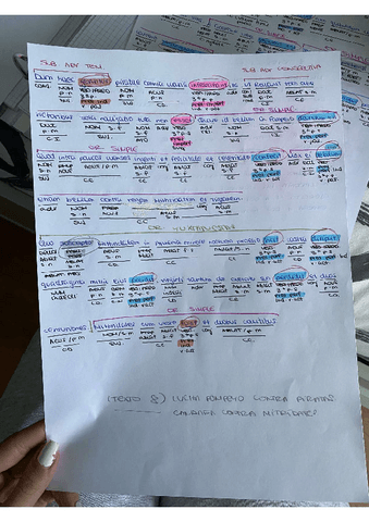 TEXTO-8-LUCHA-DE-POMPEYO-COMTRA-LOS-PIRATAS.pdf