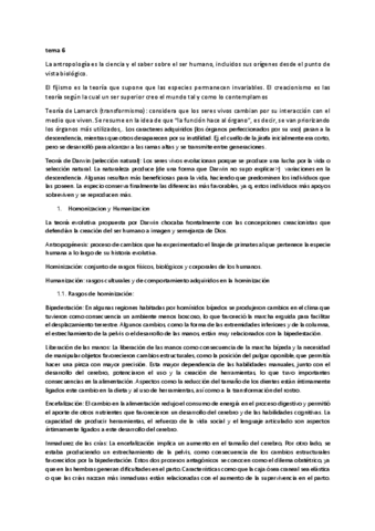 Documento32.pdf