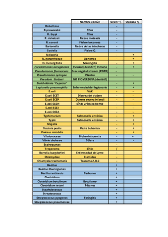 tabla-micro-2-datos-importantes.pdf