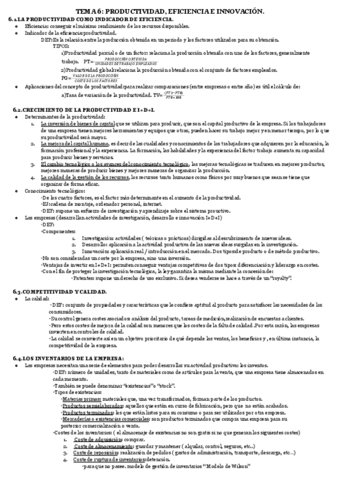 TEMA-6-PRODUCTIVIDAD-EFICIENCIA-E-INNOVACION.pdf