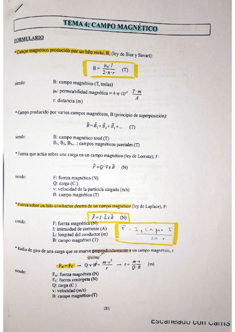 FORMULAS-CAMPO-MAGNETICO.pdf