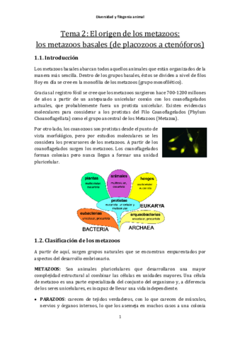 Tema2-OrigenMetazoosYMetazoosBasales.pdf