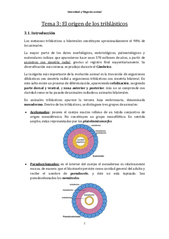 Tema3-OrigenTriblasticos.pdf