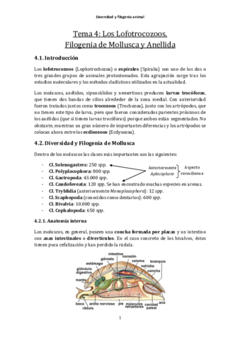 Tema4-Lofotrocozoos.pdf