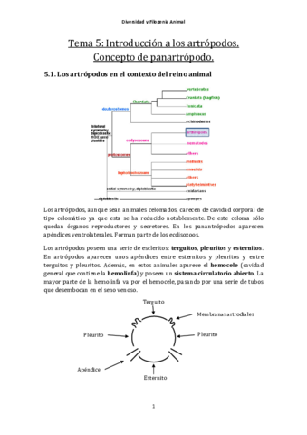 Tema5-IntroducciónArtropodos.pdf