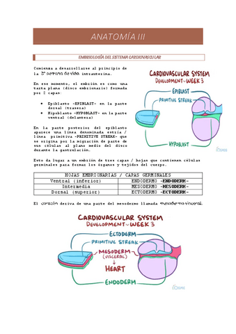 Desarrollo sistema cardiovascular.pdf
