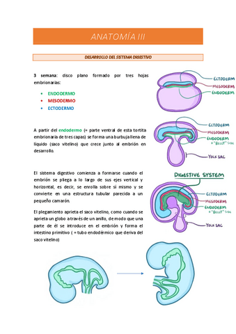 Desarrollo aparato digestivo.pdf