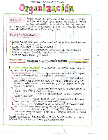 Proceso-admi-Organizacion.pdf