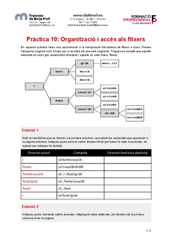 Practica-10-Organitzacio-i-acces-a-fitxers.pdf