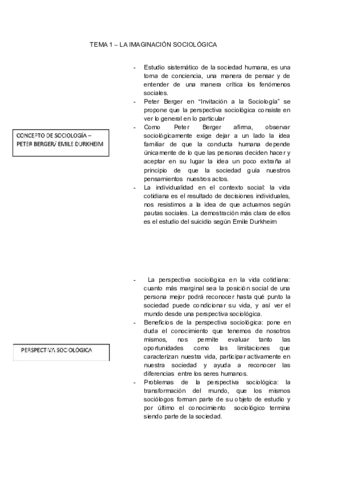 esquemas sociología.docx.pdf