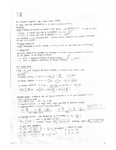 T.10.FISICA.APUNTES.Y.PROBLEMAS.pdf