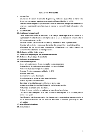 6.-El-plan-de-RSE.pdf