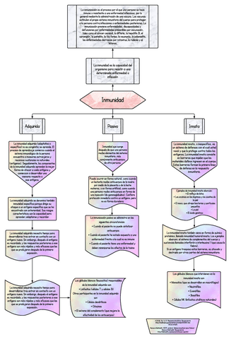 Tipos-de-inmunidad.pdf