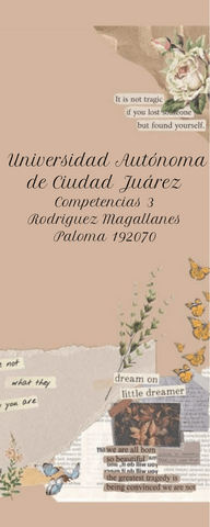 Infografias.pdf