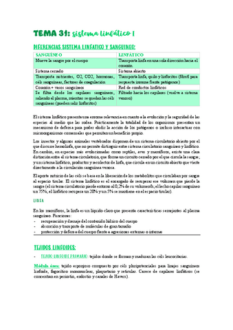 TEMA-31sistema-linfatico-I.pdf