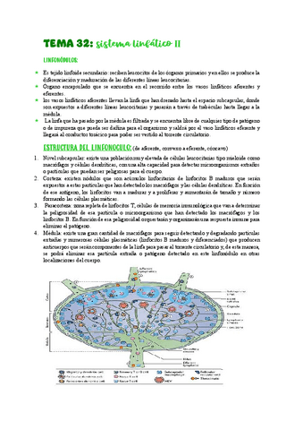 TEMA-32sistema-linfatico-II.pdf