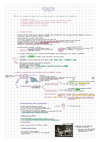 TEMA-2-APUNTES-COMPLETOS.pdf