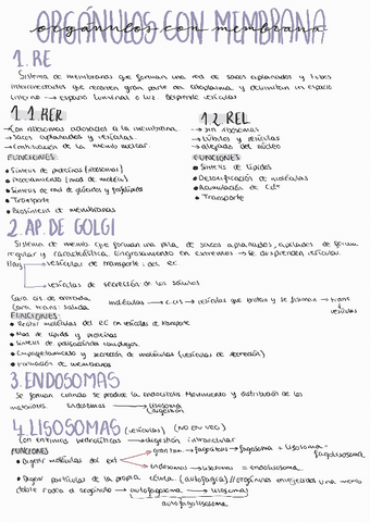 ORGANULOS-CON-MEMBRANA.pdf
